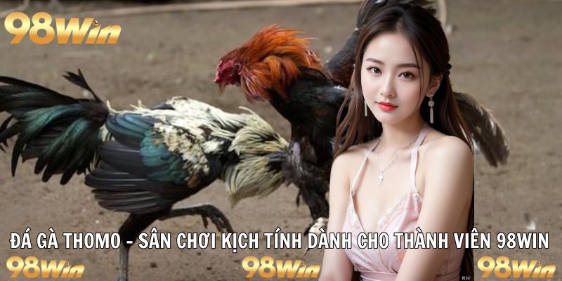 đá gà thomo